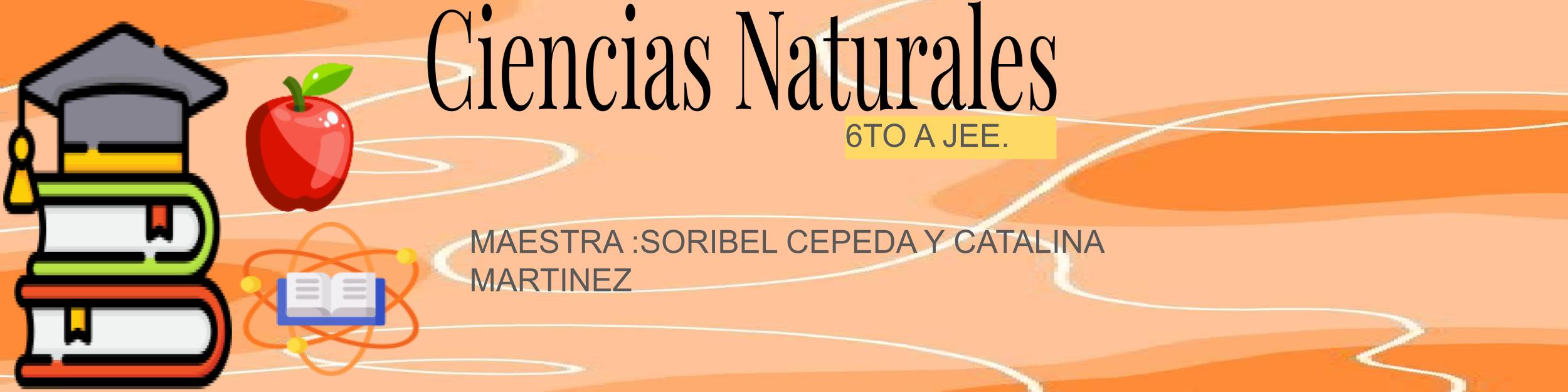 En este curso aprenderás sobre el método científico, el sistema solar, el cuerpo humano y los ecosistemas.
Realizaremos actividades, experimentos y trabajos colaborativos usando recursos digitales.
Desarrollaremos el cuidado del medio ambiente y el pensamiento científico.